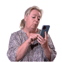 Radio Carnaval Sticker by Omroep Brabant