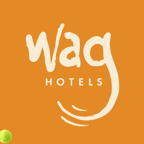 waghotels dog tennis california bouncing GIF