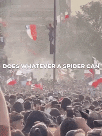 sexy post flag waving chile GIF