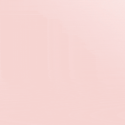 Cat Crypto GIF by Flow