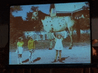 season 5 netflix GIF by Gilmore Girls 