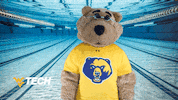 West Virginia Swimming GIF by WVU Tech Golden Bears