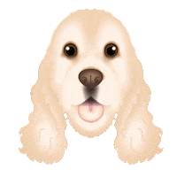 Cocker Spaniel Sticker by zoopeez
