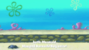 episode 1 whirly brains GIF by SpongeBob SquarePants