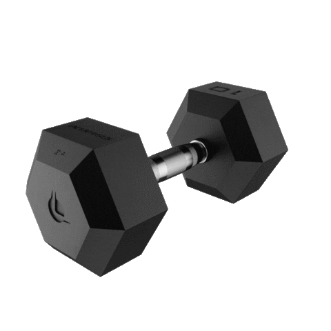 Lacertosus fitness gym bodybuilding rogue Sticker