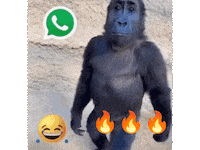 Fire Laughing Sticker