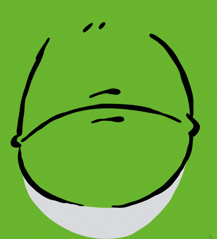 Cotorro Quepedo GIF