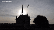 Leonardo Da Vinci Signature GIF by euronews