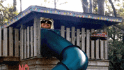 Twitch Streamer Doug GIF by Four Rest Films