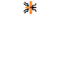 mosca Sticker by Feslloc