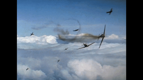 pierre-barneron giphyupload black sheep têtes brulées boyington GIF