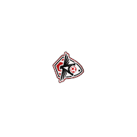 AvanteSportsMarketing ari avantesports atleticocearense Sticker