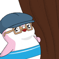 No Money Penguin GIF by Pudgy Penguins