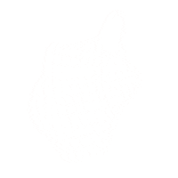 Shopping Fruit Sticker by Planoly
