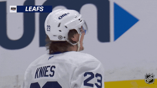 Happy National Hockey League GIF by NHL