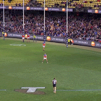 afl  GIF