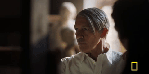 genius picasso GIF by National Geographic Channel
