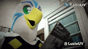 good vibes fun GIF