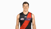 essendonfc dons bombers essendon essendon fc GIF