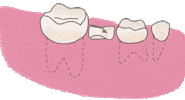 Dentist Odontologia Sticker