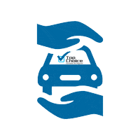 topchoiceseguros seguroauto topchoice topchoiceseguros Sticker