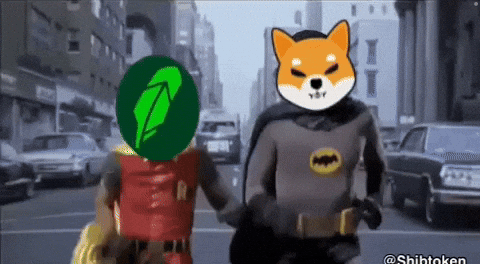 Shib Coin GIF by SHIB MEMES