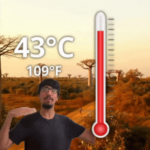43 °C