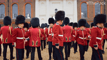 The Pack Dog GIF by Amazon Prime Video