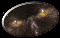 Sassy Persian Cat GIF