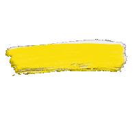 truecolorsnyc truecolorsnyc nyc rainbow color colorfull Sticker