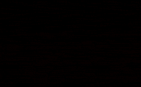 Lcp GIF by LincolnCollegeChile