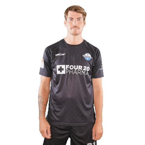 Logo Bundesliga Sticker by SC Paderborn 07