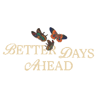 Jesus Christ Sticker by Elevated Faith