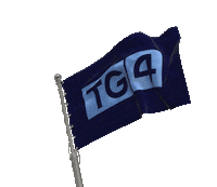 Gaelic Football Flag Sticker by SportTG4