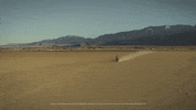 Ride GIF by Harley-Davidson