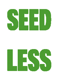 Vitamin C Cooking Sticker by POM, WSL, Halos