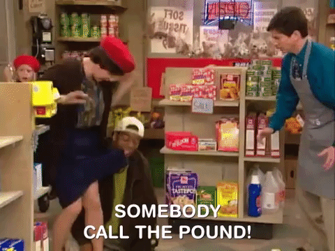 kenan and kel nicksplat GIF