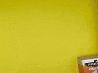 ThunderbirdRealFoodBar variety thunderbird thunderbirdbar GIF