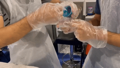 Saeed_Makhlooq giphyupload GIF