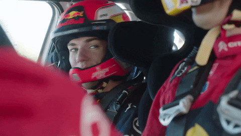 redbullracing giphyupload france f1 2019 GIF