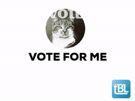 commercial real estate vote GIF by thebrokerlist