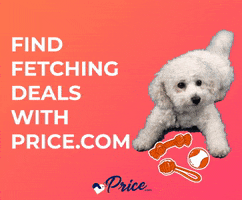 Happy Good Girl GIF by price.com