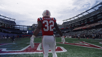 Football Nfl GIF by New England Patriots
