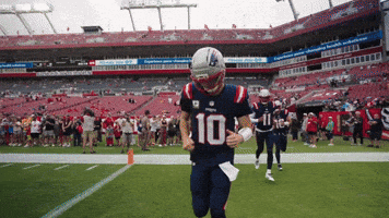 Football Nfl GIF by New England Patriots