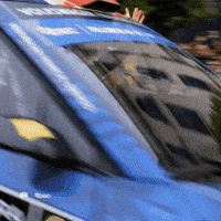 Motorsport Crowd GIF by FIA European Rally Championship