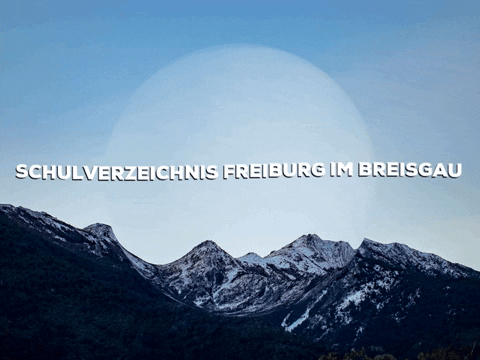 Laugh Smile GIF by PrivatschulenPORTAL.de