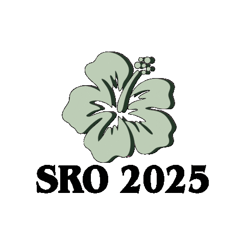 Southern Region Oireachtas Sticker by KAID