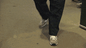 stephen colbert baseball GIF by The Late Show With Stephen Colbert