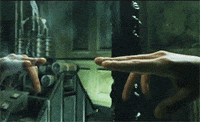 TheCaveNz  GIF