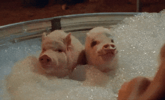 Manchild GIF by Sabrina Carpenter